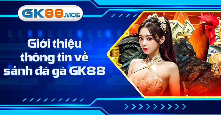 Giới thiệu thông tin về sảnh đá gà GK88 cho người mới 