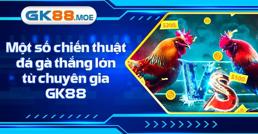 Một số chiến thuật đá gà thắng lớn từ chuyên gia GK88 